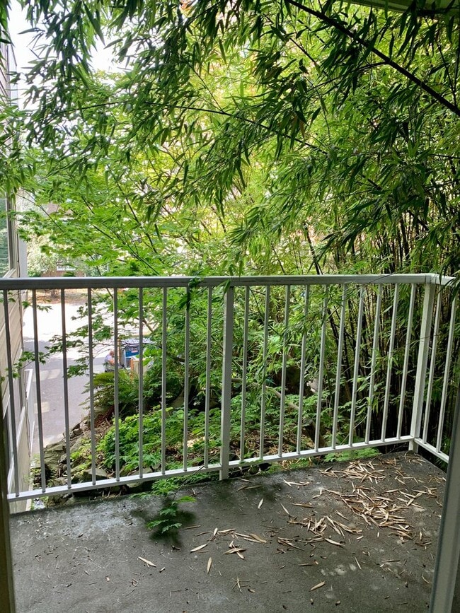 Building Photo - Capitol Hill Condo