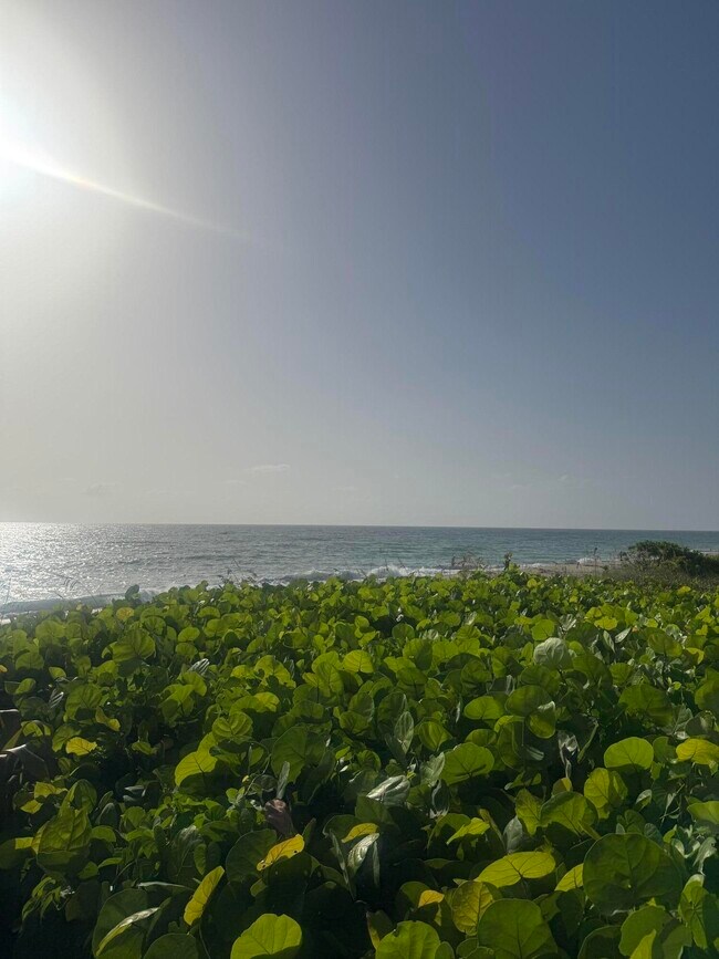 Building Photo - 8235 Mulligan Cir