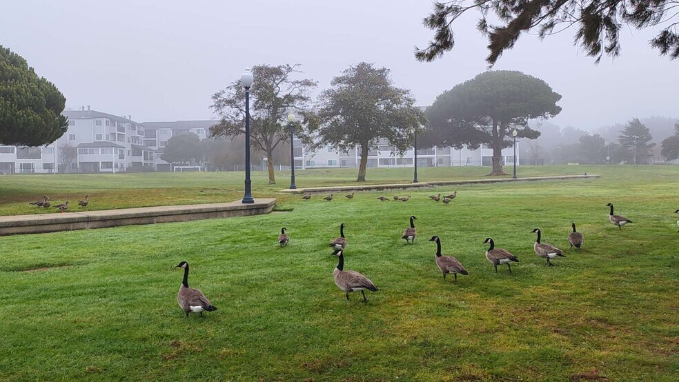 Building Photo - 2502 Jetty Dr