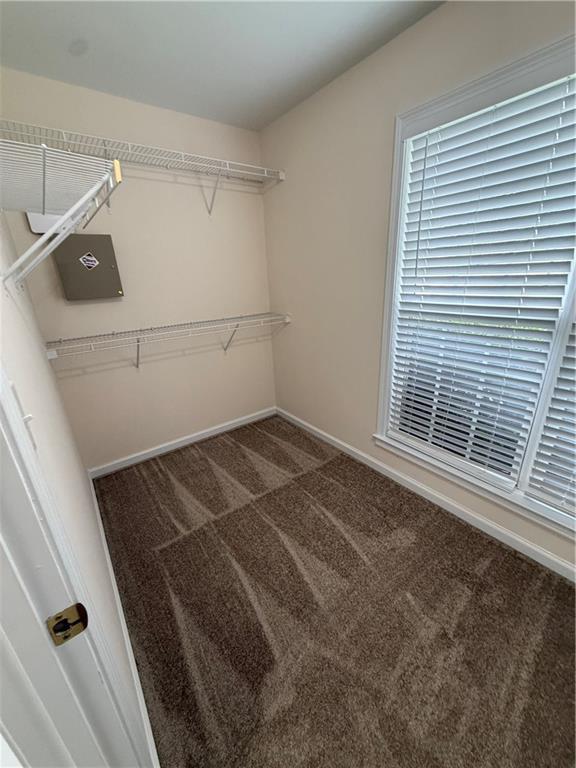 Building Photo - 1244 Saxony Dr SE