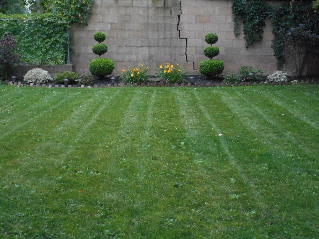 Back yard during spring, summer and fall - 104 N Munn Ave