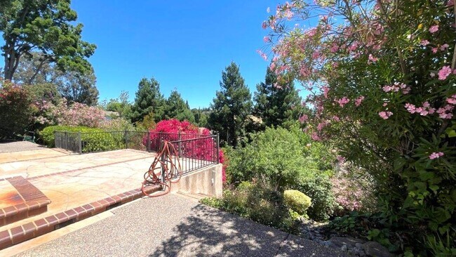 Building Photo - Martinez Beautiful 4 bedroom 3 bath home! ...