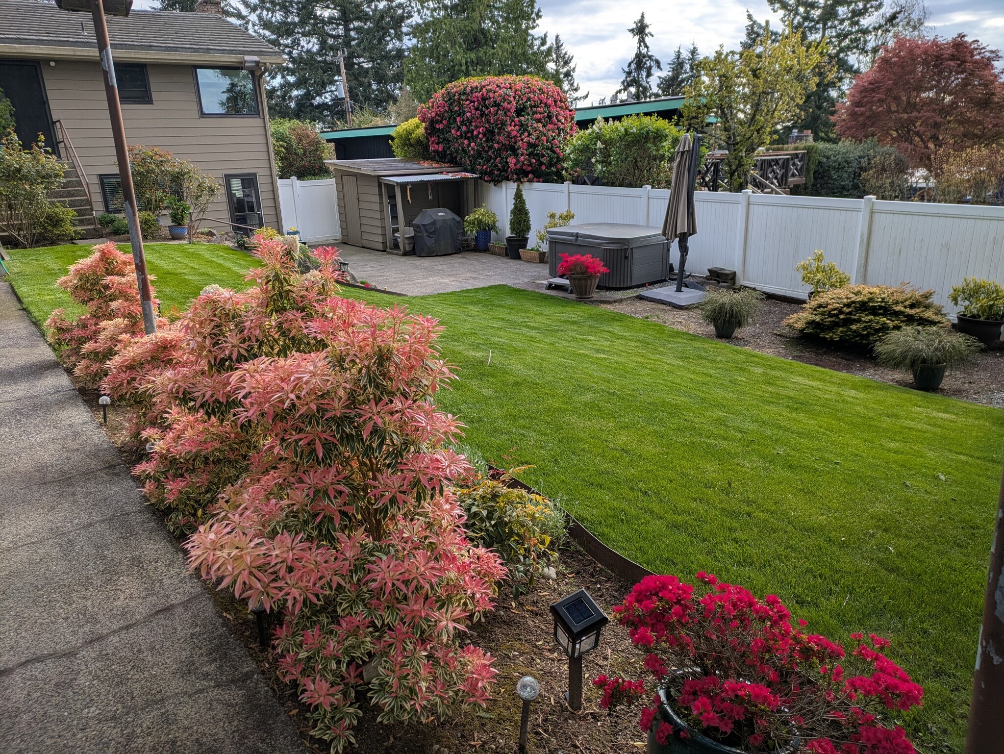 Backyard 2 - 1412 SW 130th St