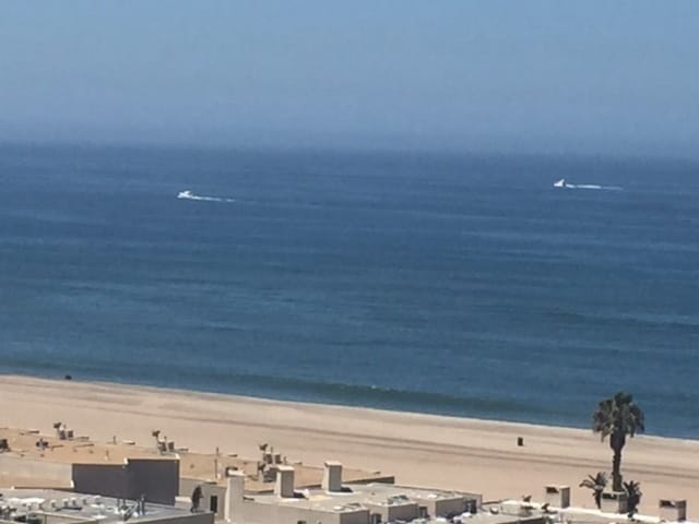 Building Photo - 420-22 Rees Street