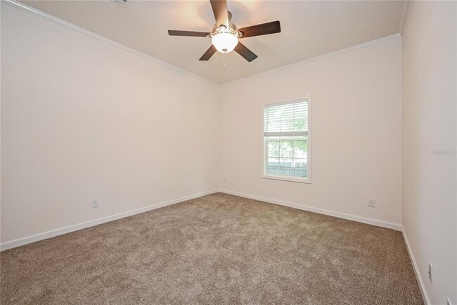 Building Photo - 6737 48th Ave N