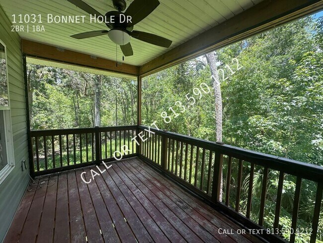 Building Photo - 11031 Bonnet Hole Dr