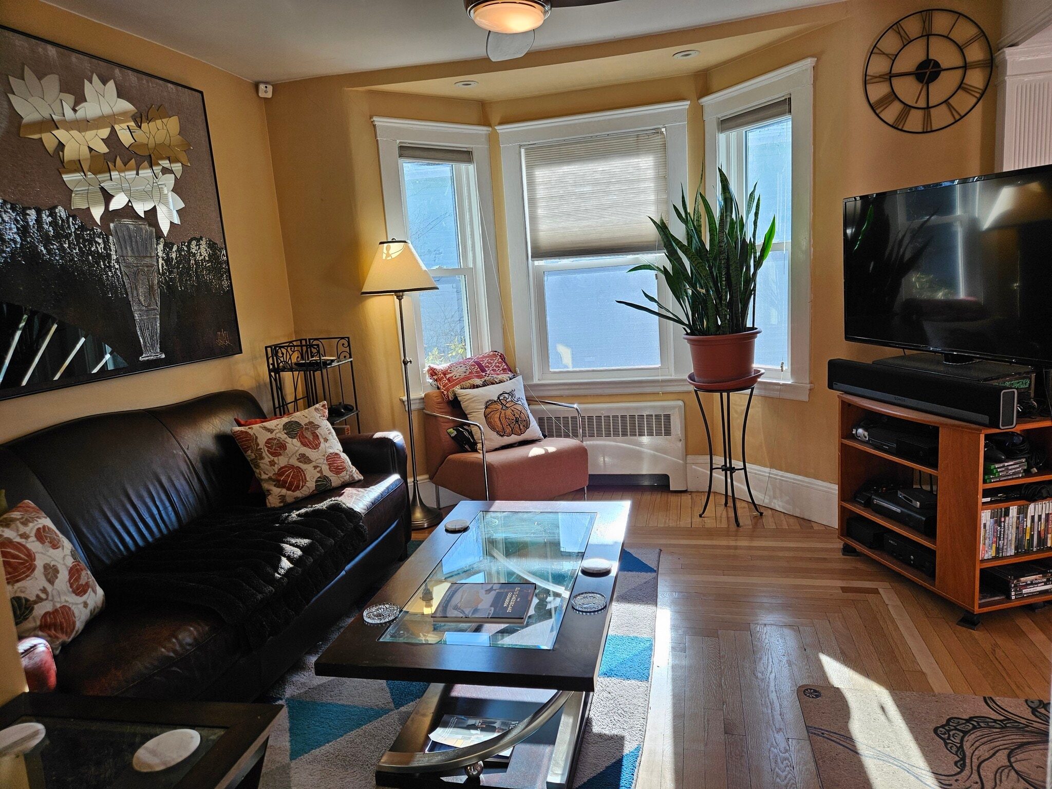 living room - 151 Walsh St