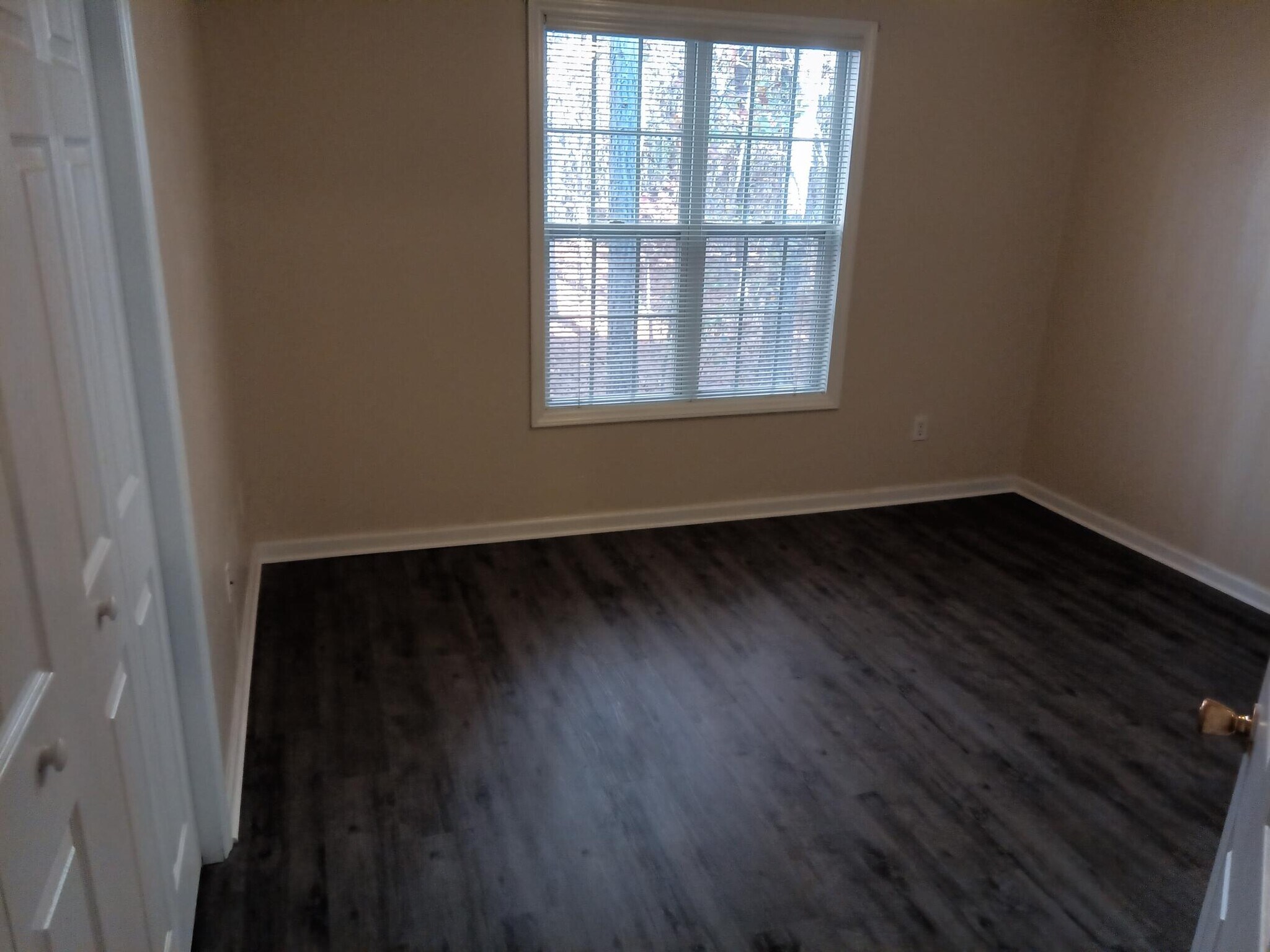 Building Photo - 2900 Trailwood Pines Ln