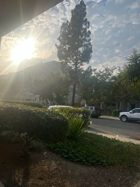View from front door - 777 Mill St