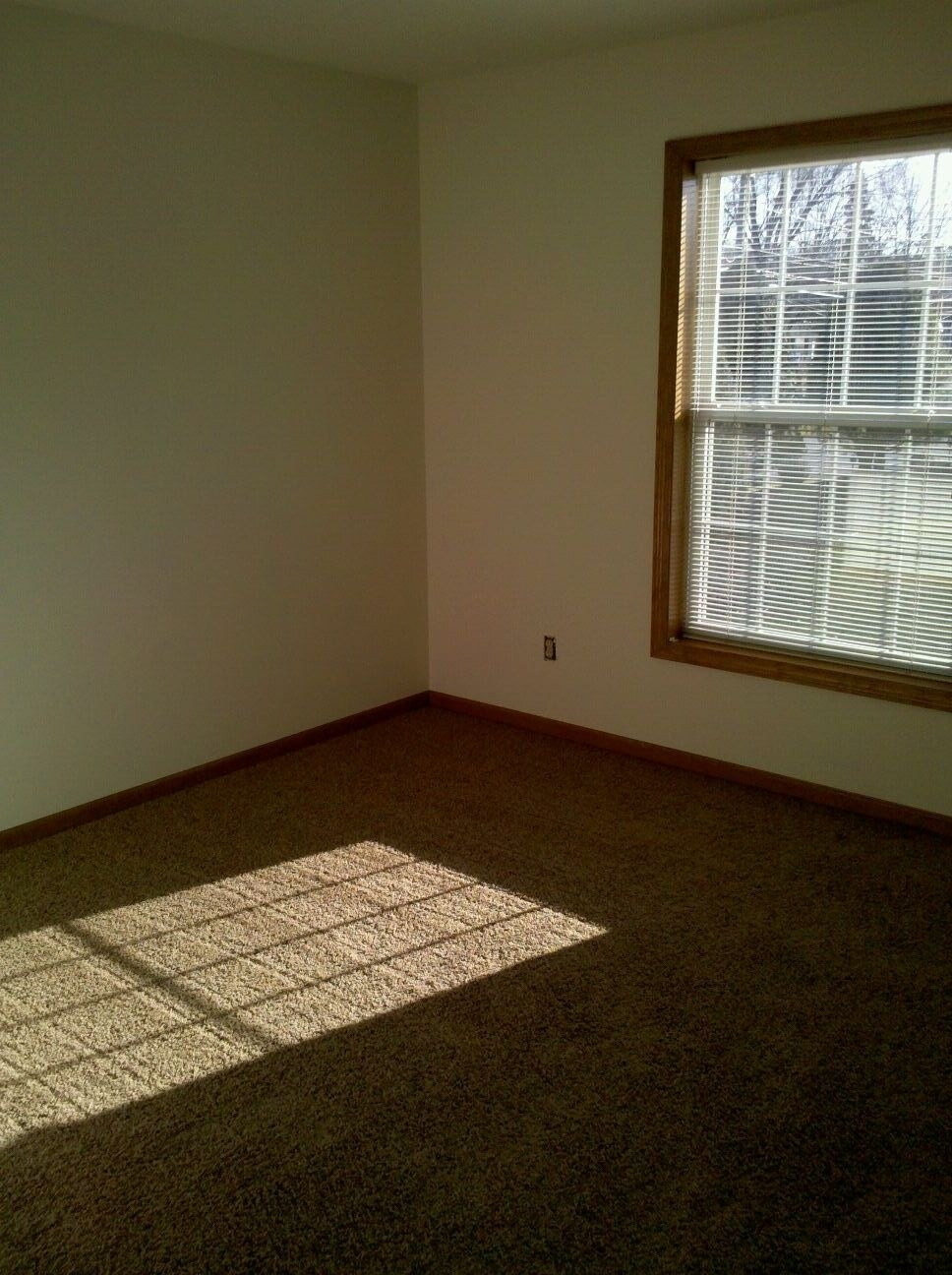 Building Photo - 2216 Curry Rd