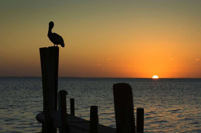 Building Photo - 117 E Campeche St