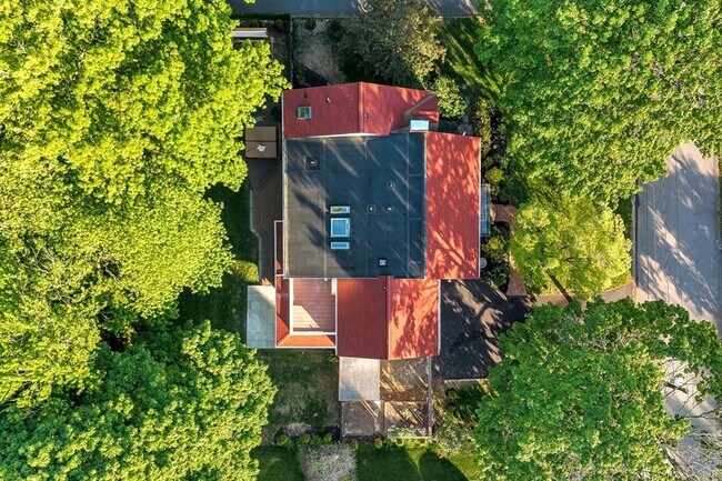 Building Photo - 31 Alba Rd