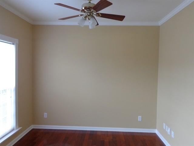 Building Photo - 3539 Balsam Tree Dr