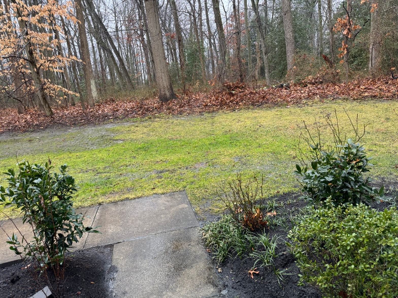 Building Photo - 703 Quail Rd