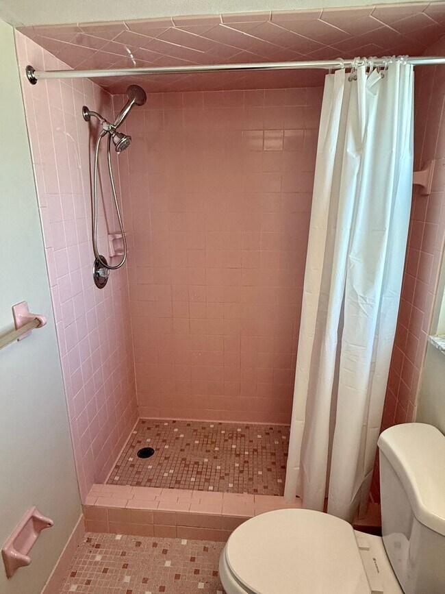Building Photo - Beautiful Palm Harbor 2/2 Located on Peace...