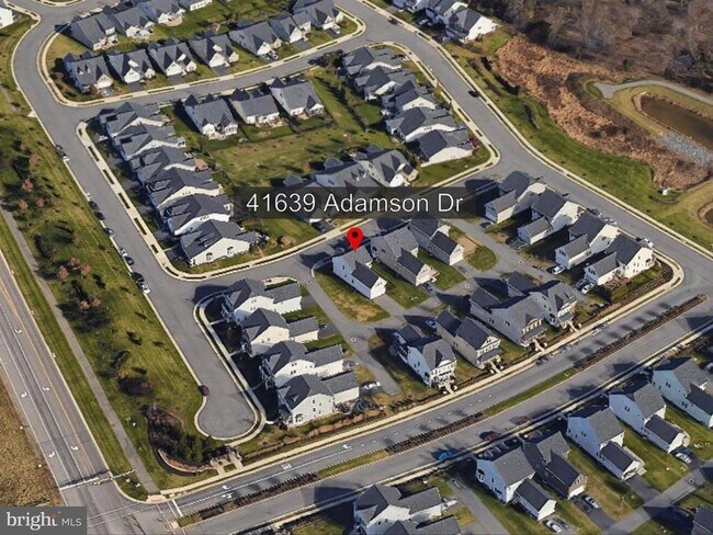 Building Photo - 41639 Adamson Dr