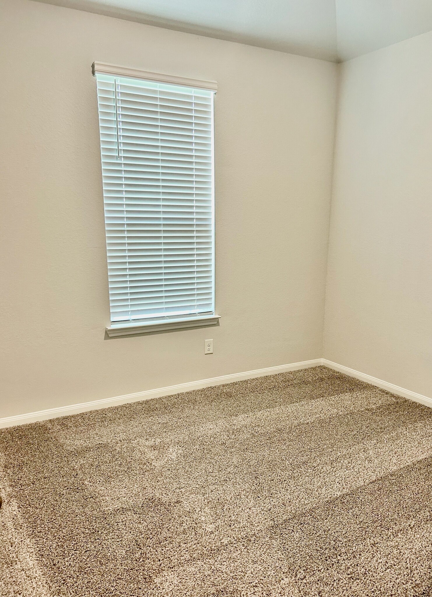 The spacious secondary bedroom features carpet and wooden blinds. - 509 Turtle Dove Dr