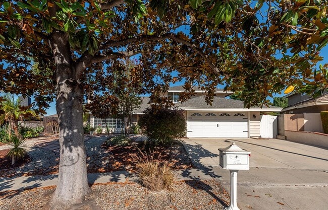 Primary Photo - 363 Larcom St