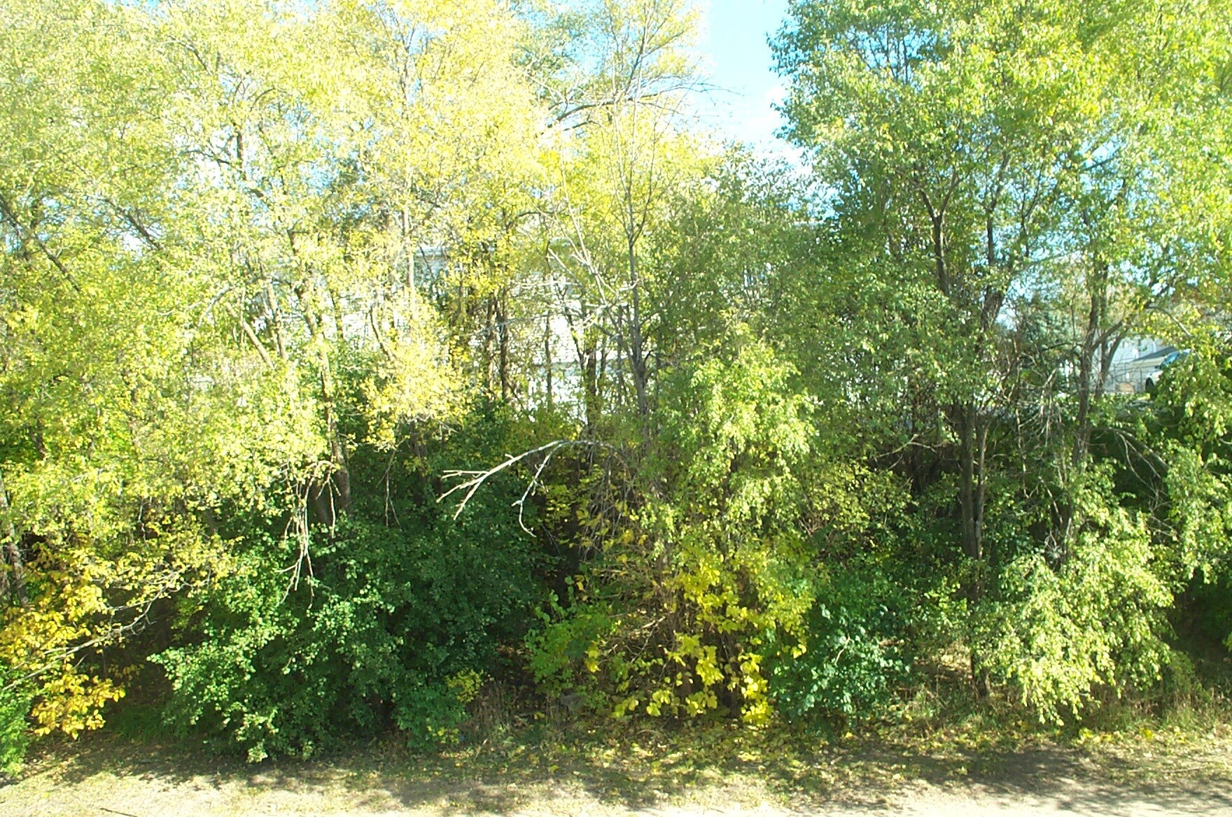 view from deck in summer - 2834 Sandy Hollow Rd
