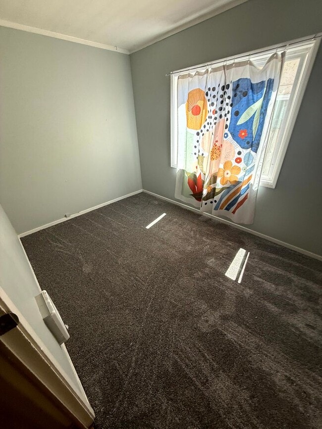 Building Photo - 3 Bedroom Duplex Close to U of O Campus