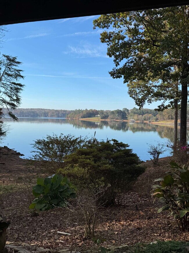 Building Photo - Furnished 1BR Apartment on Lake Lanier - Single Boat Slip Optional
