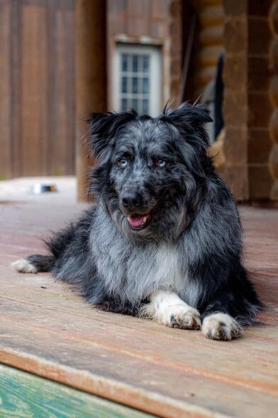 Building Photo - 3251 Bayvue Blvd