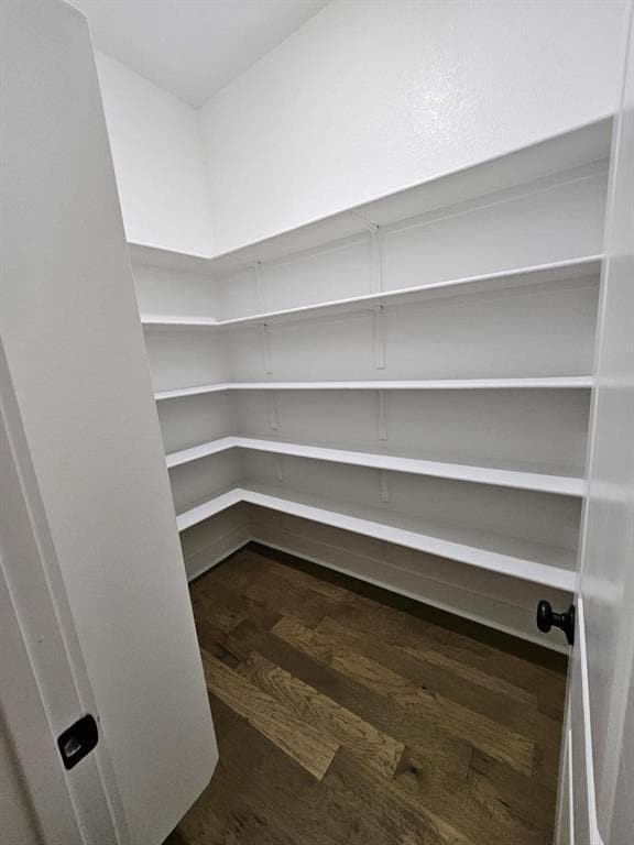 Building Photo - 104 Palatino Bend