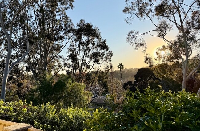 Building Photo - 31121 Via Santo Tomas