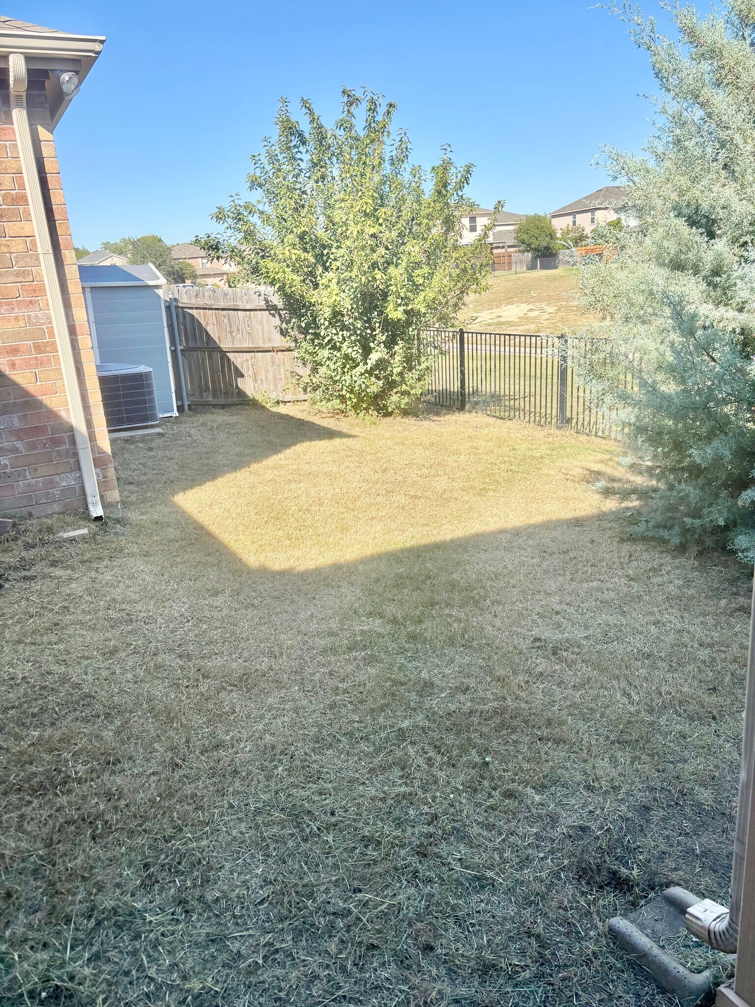 backyard 1 - 9032 Yellow Cedar Trl