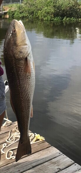 Great fishing! - 9825 Grace Dr