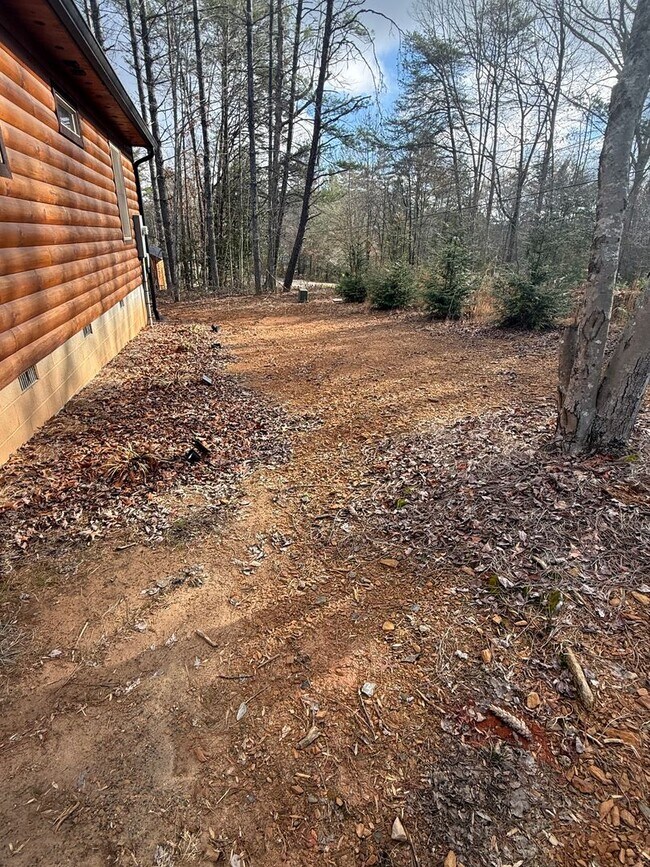 Building Photo - Sandy Gap Cabin
