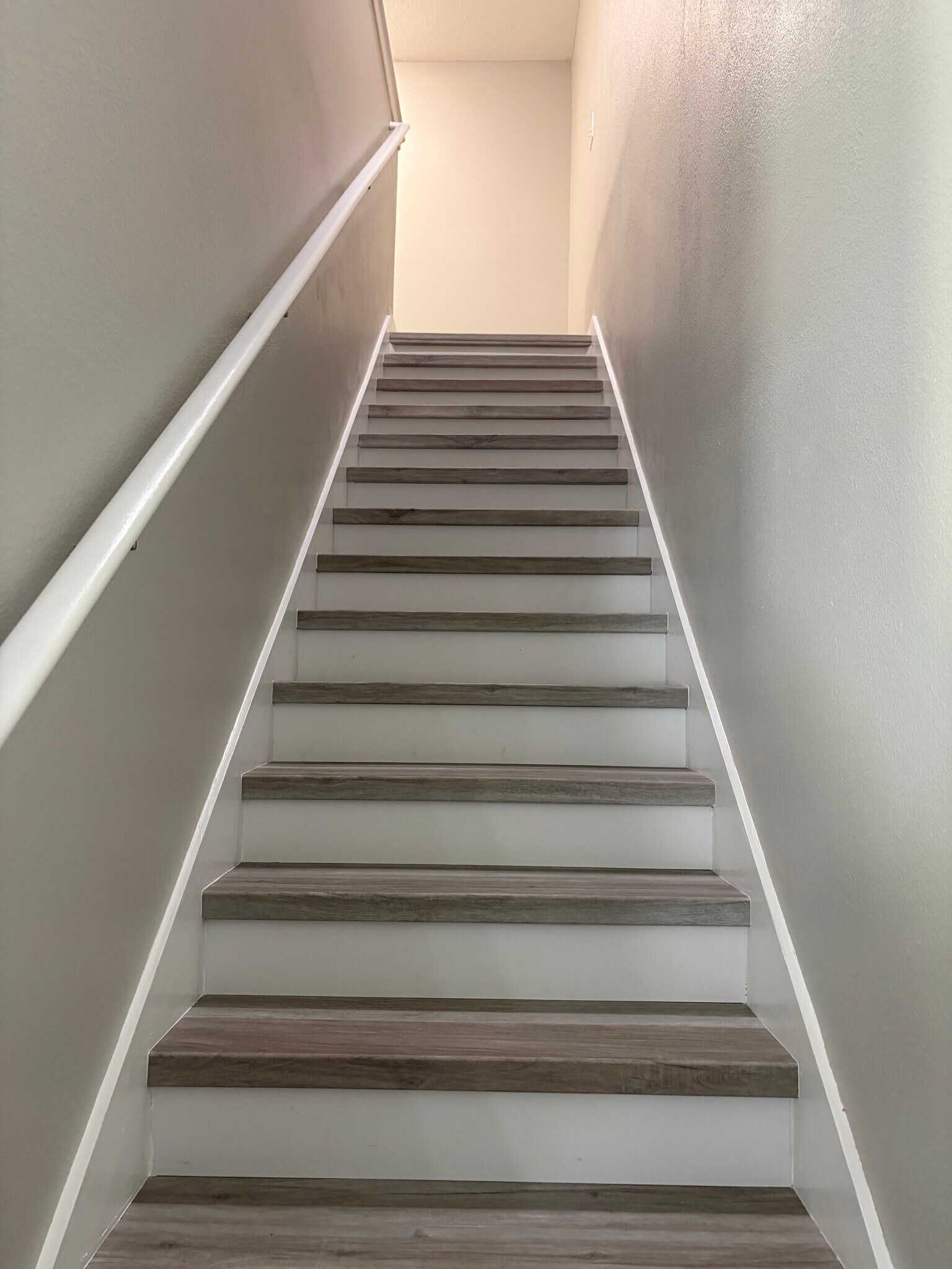 Building Photo - 2703 Isabella Valley Ct