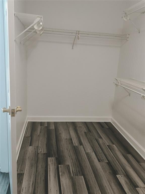 Building Photo - 3045 Lazlo Ln