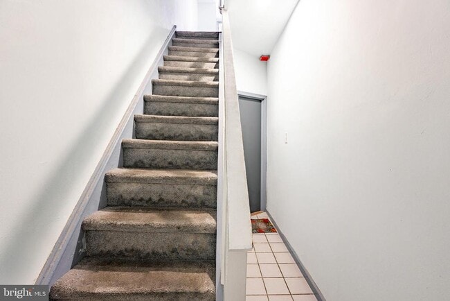 Building Photo - 1327 Snyder Ave