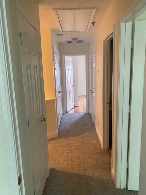 Building Photo - Very Nicely Renovated townhome in the Cony...