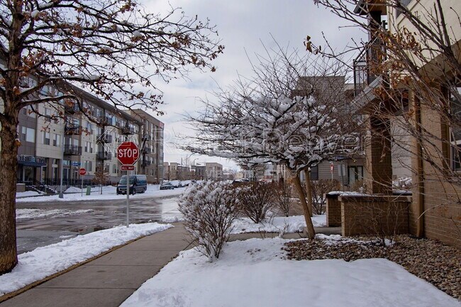 Building Photo - 492 S Saulsbury St