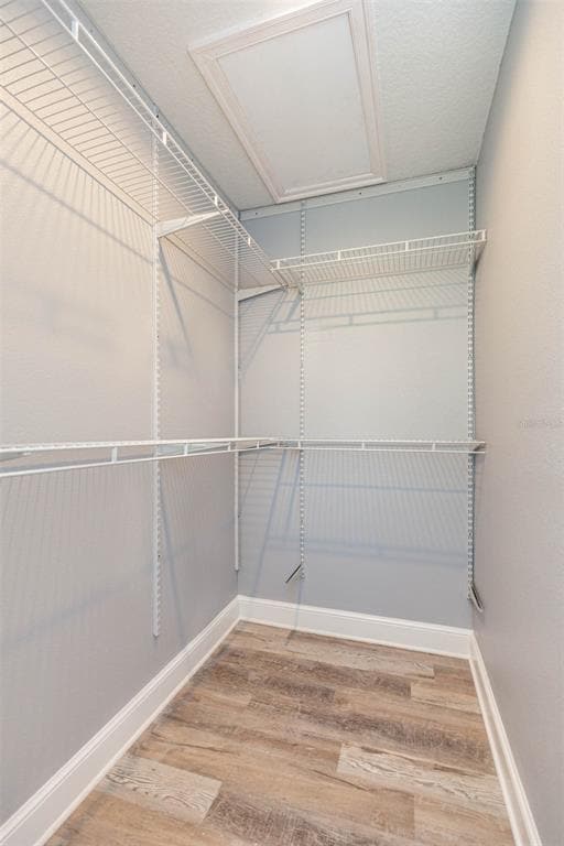 Building Photo - 3911 W Tyson Ave