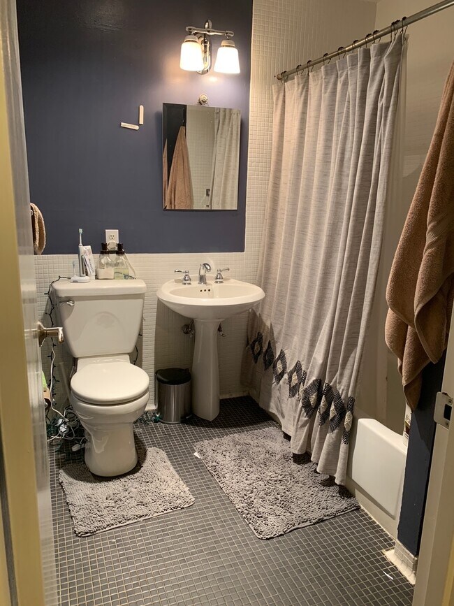 guest bathroom - 389 N St SW