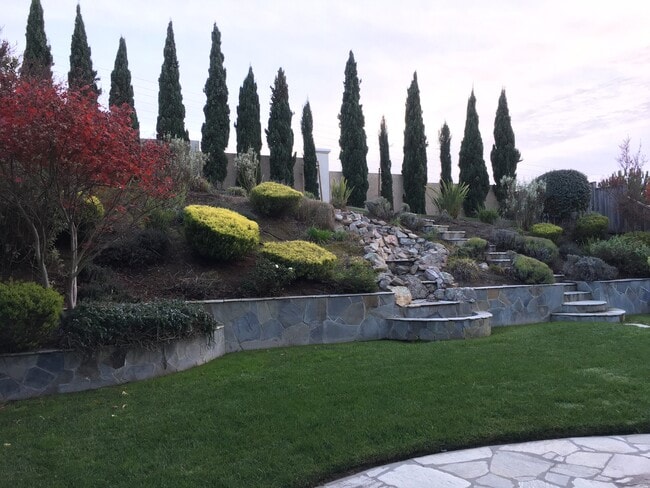 Building Photo - 3342 Park Ridge Dr