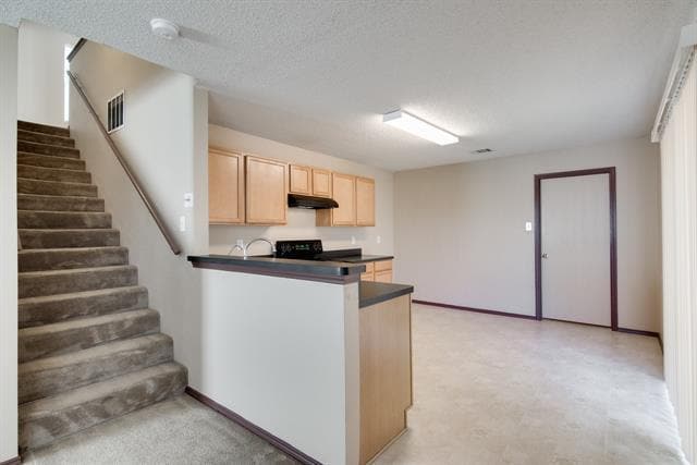 Building Photo - 8211 Leaning Oak Ct