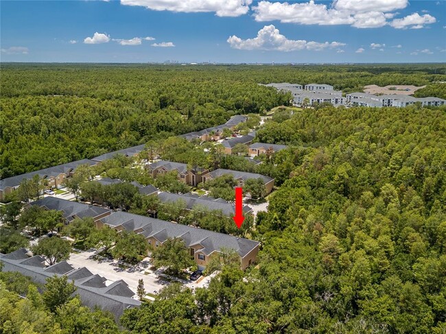 Building Photo - 16322 Parkstone Palms Ct