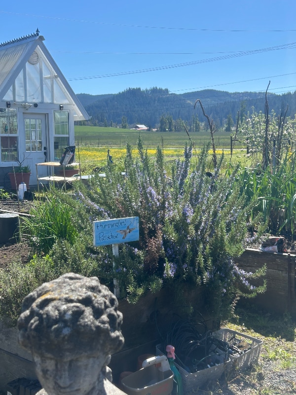 Building Photo - 80082 Sears Rd