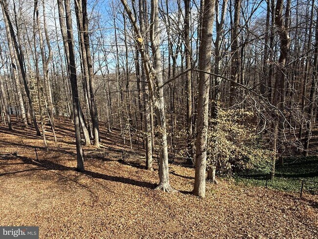 Building Photo - 12003 Skipjack Ct