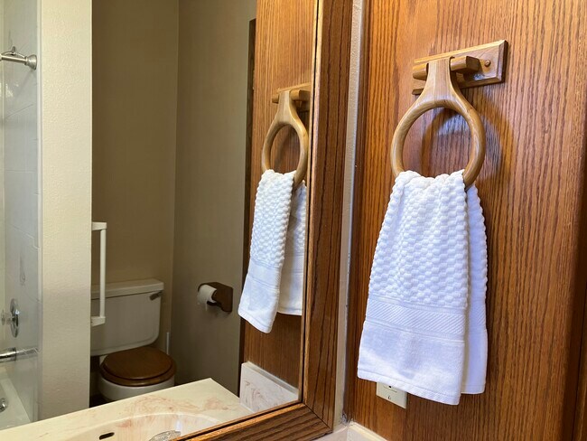 main bathroom - 308 Hawthorne Dr
