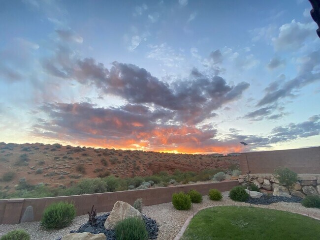 Building Photo - Stunning 4 Bedroom Home with Gorgeous Back...