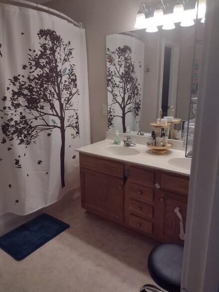 Master Bathroom - 3019 Northern Falcon Ridge Dr