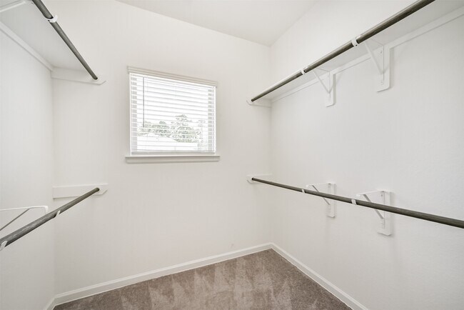 Building Photo - 547 Bristol Tide Ct