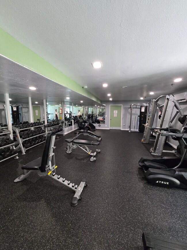 Building Photo - 3 Bedroom Apartment near to LMU, minutes t...