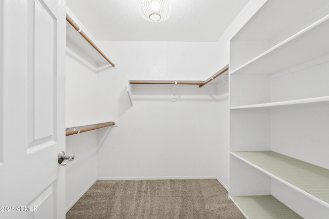 Building Photo - 3373 E Flamingo Ct