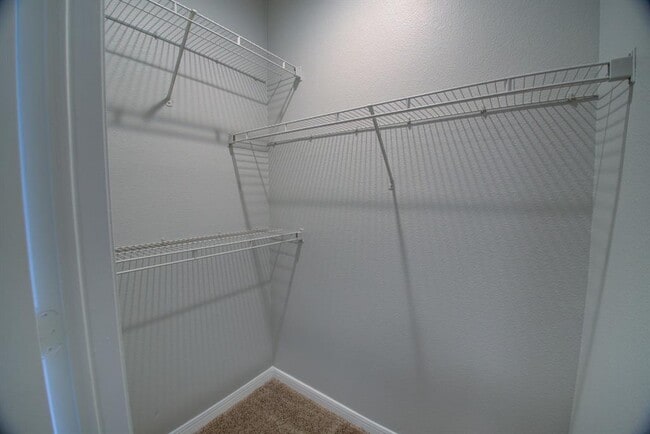 Building Photo - 2320 Gracy Farms Ln